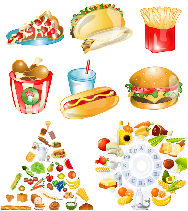 800x900 Healthy Food And Fast Food Vector Vector Graphics Blog
