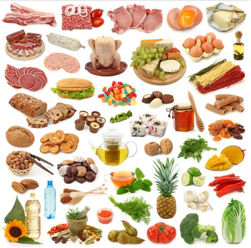 501x495 Tasty Food Free Vector Ai Format Free Vector Download