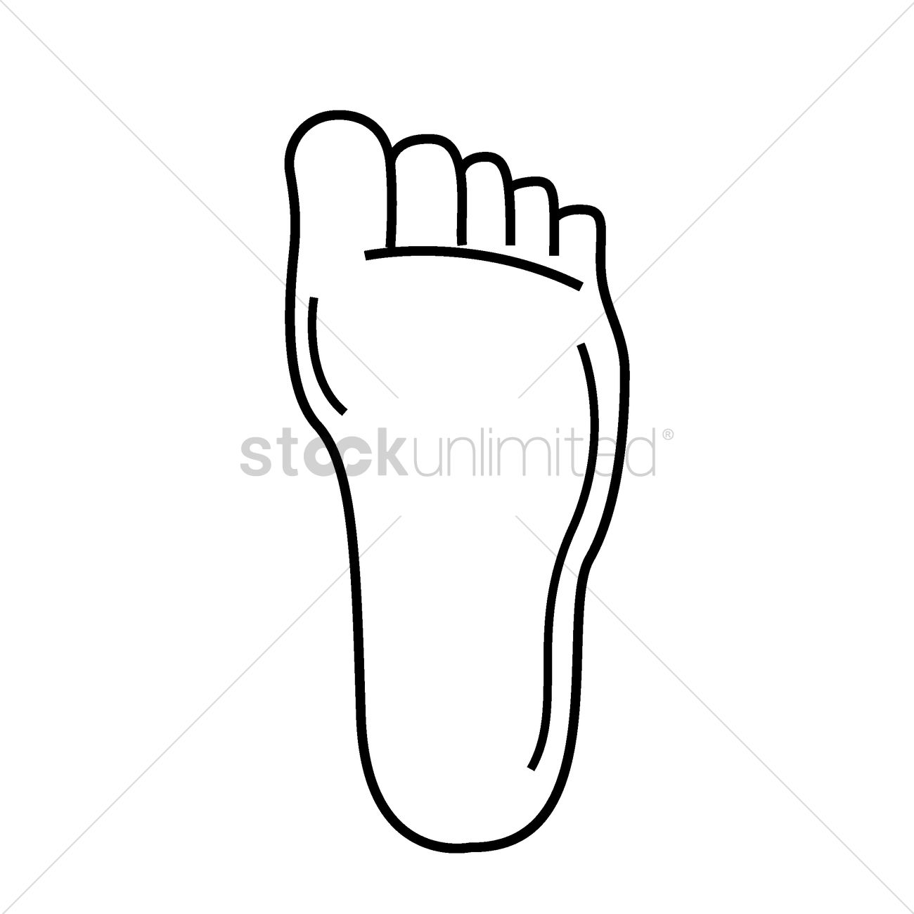 1300x1300 Human Foot Vector Image