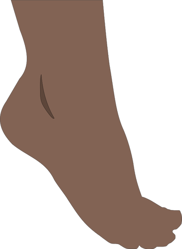 365x500 Human Foot Vector Image Public Domain Vectors