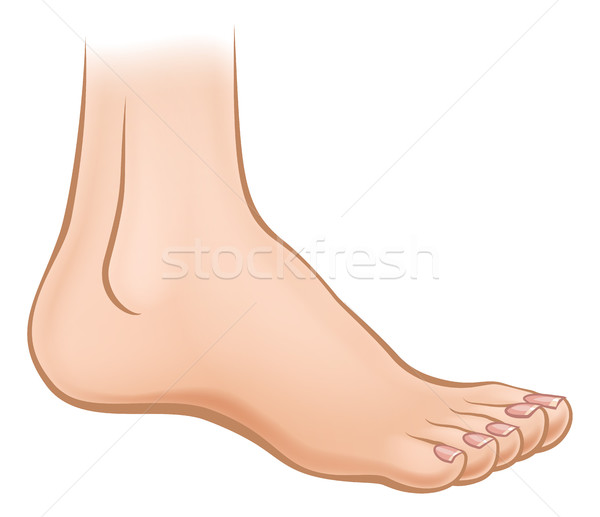 600x517 Cartoon Foot Vector Illustration Christos Georghiou (Krisdog