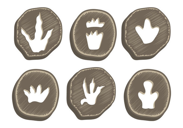 632x443 Dinosaur Footprint Vector Free Vector Download 302425 Cannypic