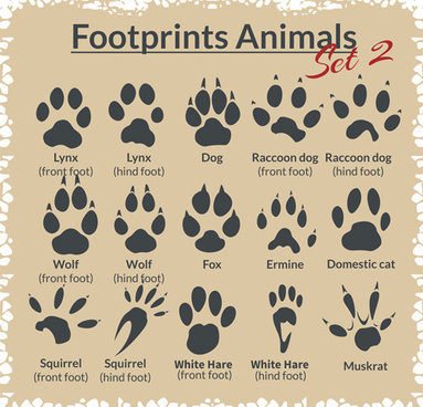 383x368 Footprint Free Vector Download (119 Free Vector) For Commercial