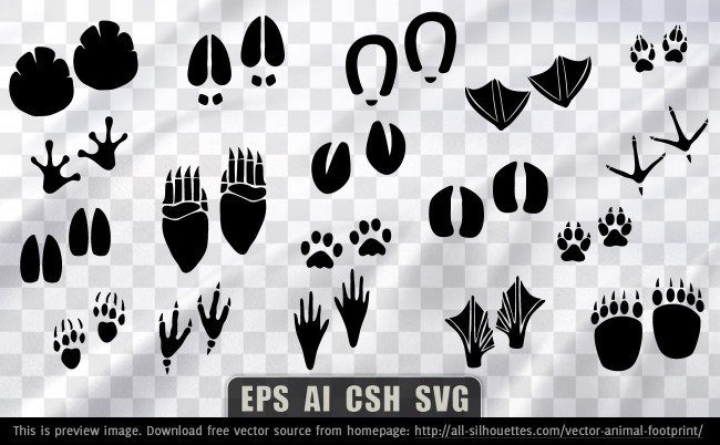650x402 Free 18 Vector Animal Footprint Psd Files, Vectors Amp Graphics