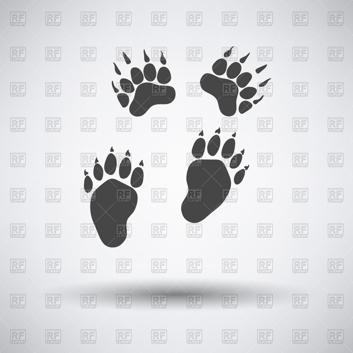1200x1200 Bear Footprint Icon On Gray Background With Round Shadow Vector