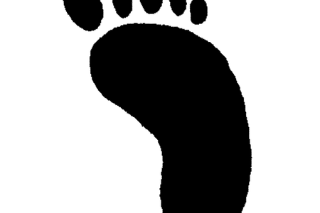 450x300 Collection Of Free Footprint Vector Harry Potter. Download On Ubisafe