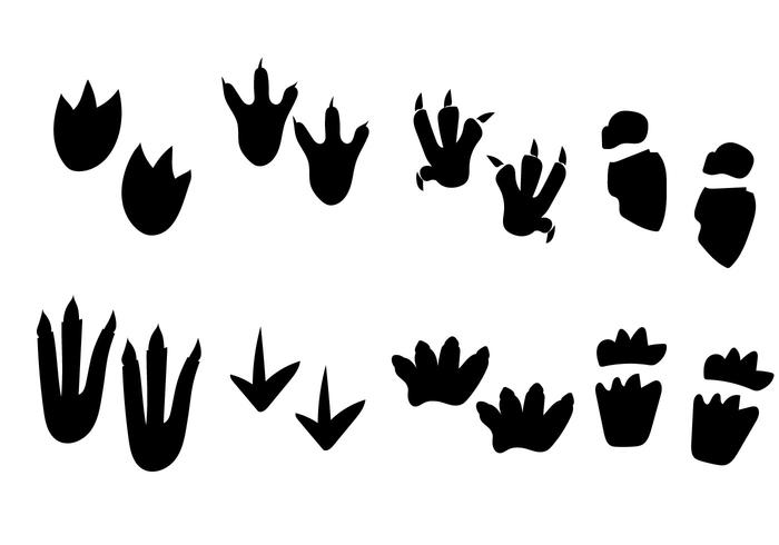 700x490 Dinosaur Black And White Footprint Vector