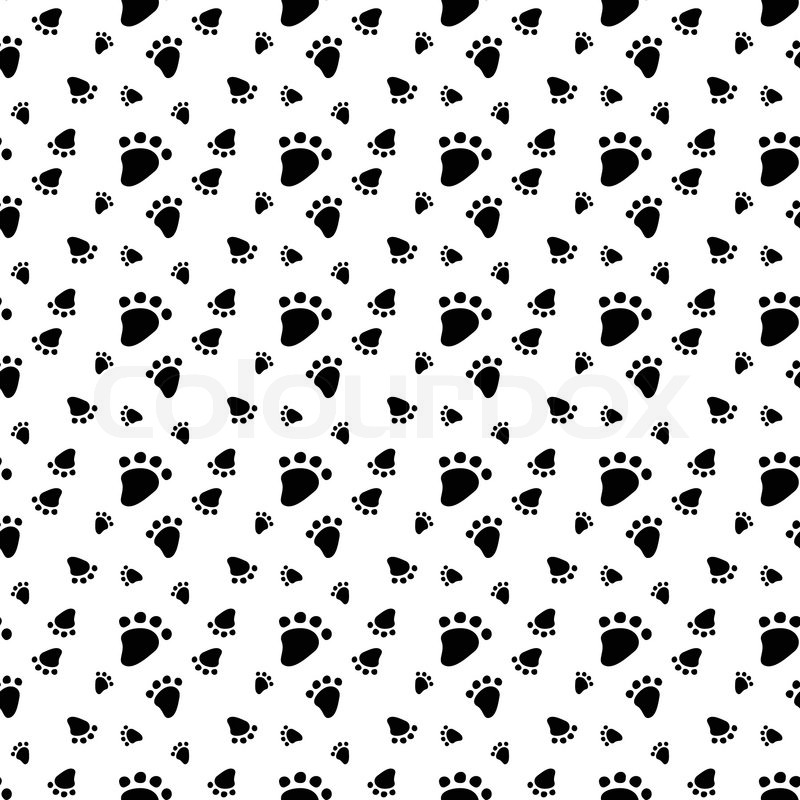800x800 Seamless Pattern With Animal Footprint Stock Vector Colourbox