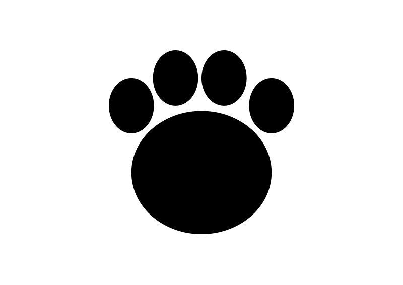 800x566 Bear Footprint Vector