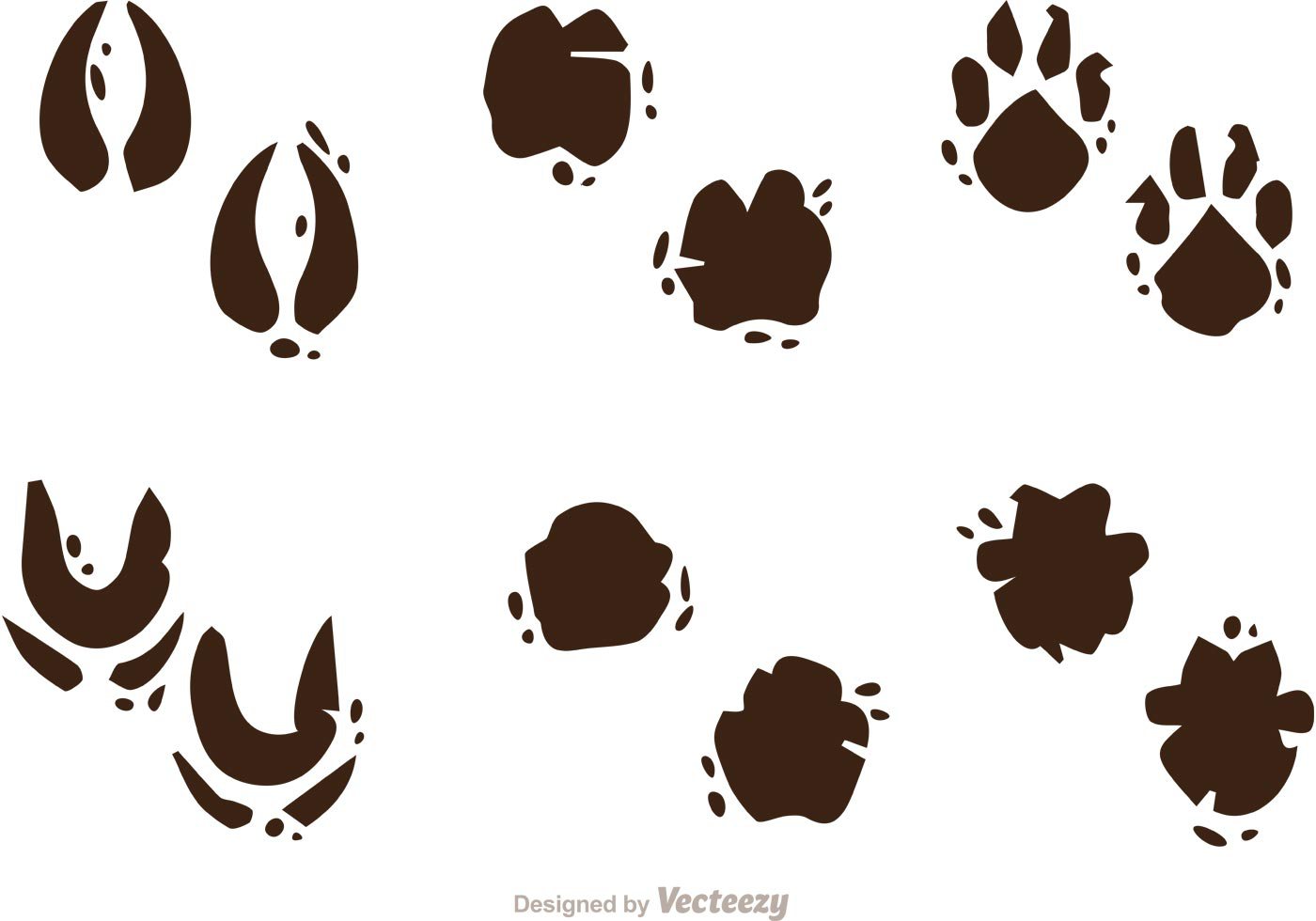 Footprint Vector Free at GetDrawings | Free download