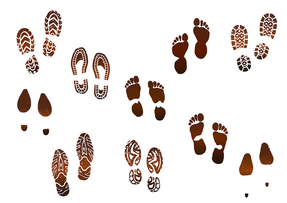 572x406 Muddy Footprint Vector Free Vector Download In .ai, .eps, .svg