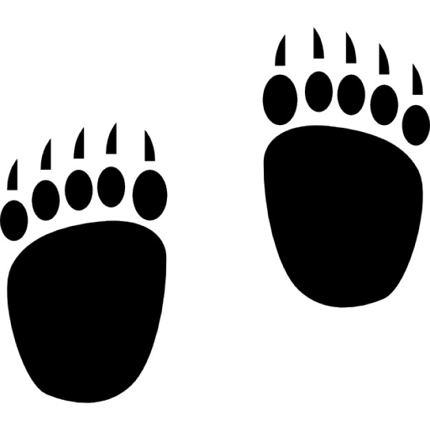 626x626 Bear Footprint Group With Items