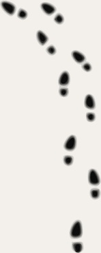 148x368 Footsteps Vector Free Vector Download (4 Free Vector) For