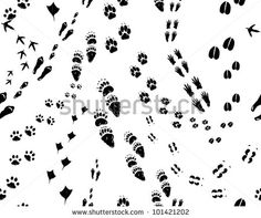 236x197 Vector Illustration Seamless Pattern, Background With Footsteps