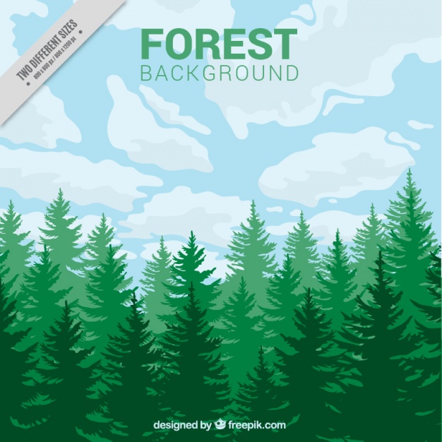 626x626 A Green Forest Background Vector Free Download