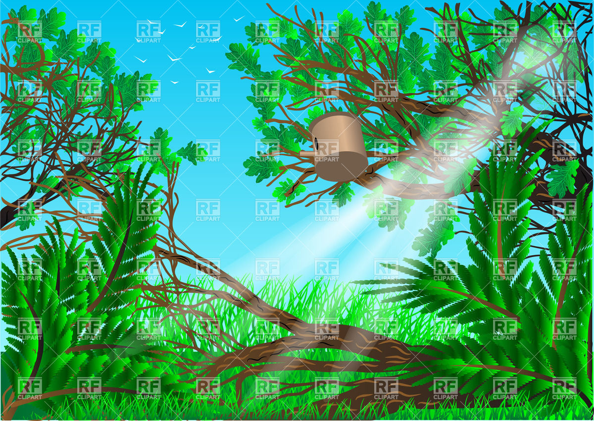 1200x850 Summer Forest Background With Trees And Grass Vector Image