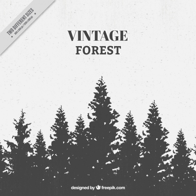 626x626 Forest Vectors, Photos And Psd Files Free Download