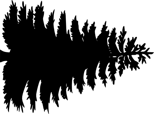 600x443 Forest Clipart Pine Tree Outline