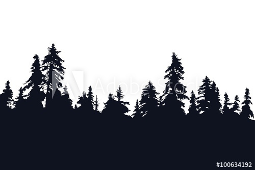 500x334 Forest Silhouette