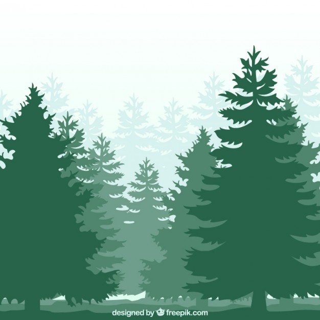 626x626 Pine Vectors, Photos And Psd Files Free Download