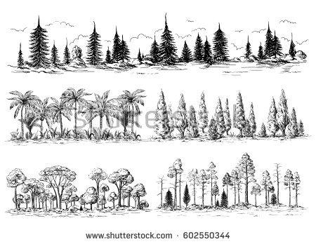 450x348 Drawn Forest Outline