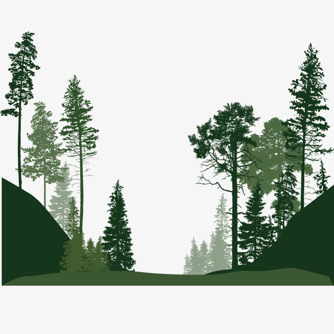 650x651 Forest Trees, Forest, Landscape, Green Png And Vector For Free