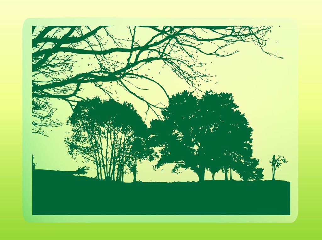 1024x765 Forest Trees Vector Art Amp Graphics