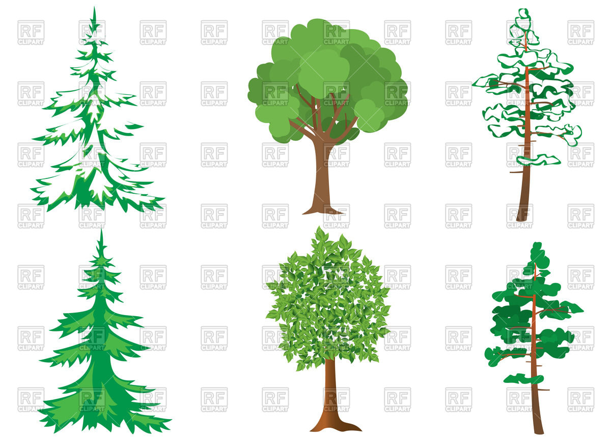 1200x859 Set Of Forest Trees Vector Image Vector Artwork Of Plants And