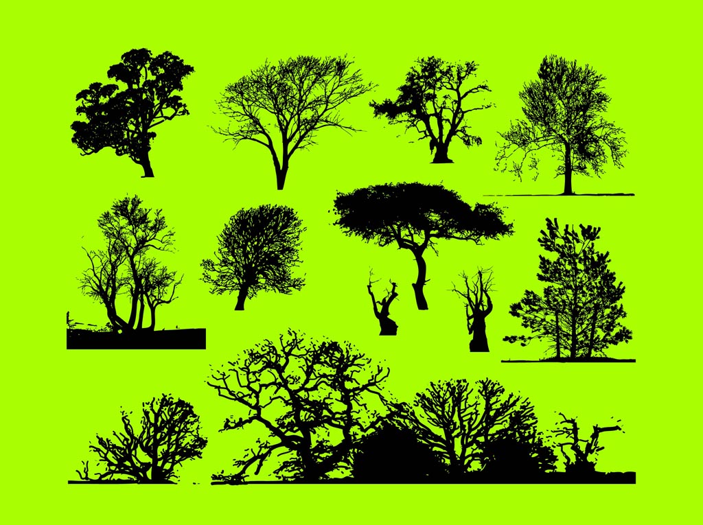 1024x765 Trees Graphics Vector Art Amp Graphics