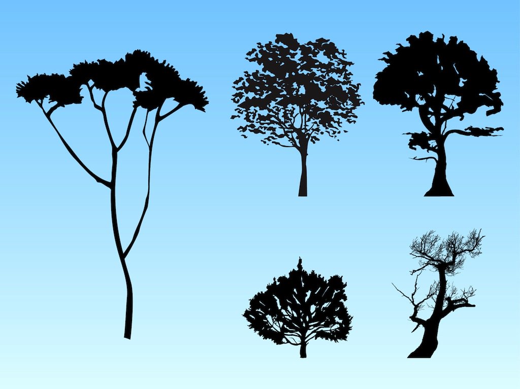 1024x767 Forest Silhouettes Vector Art Amp Graphics