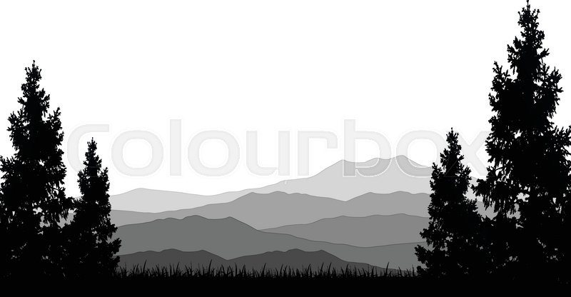 800x416 Vector Illustration Of Silhouette Of Pine Forest Stock Vector