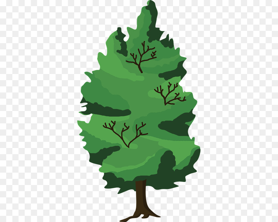 900x720 Clip Art Drawing Tree Forest Vector Graphics