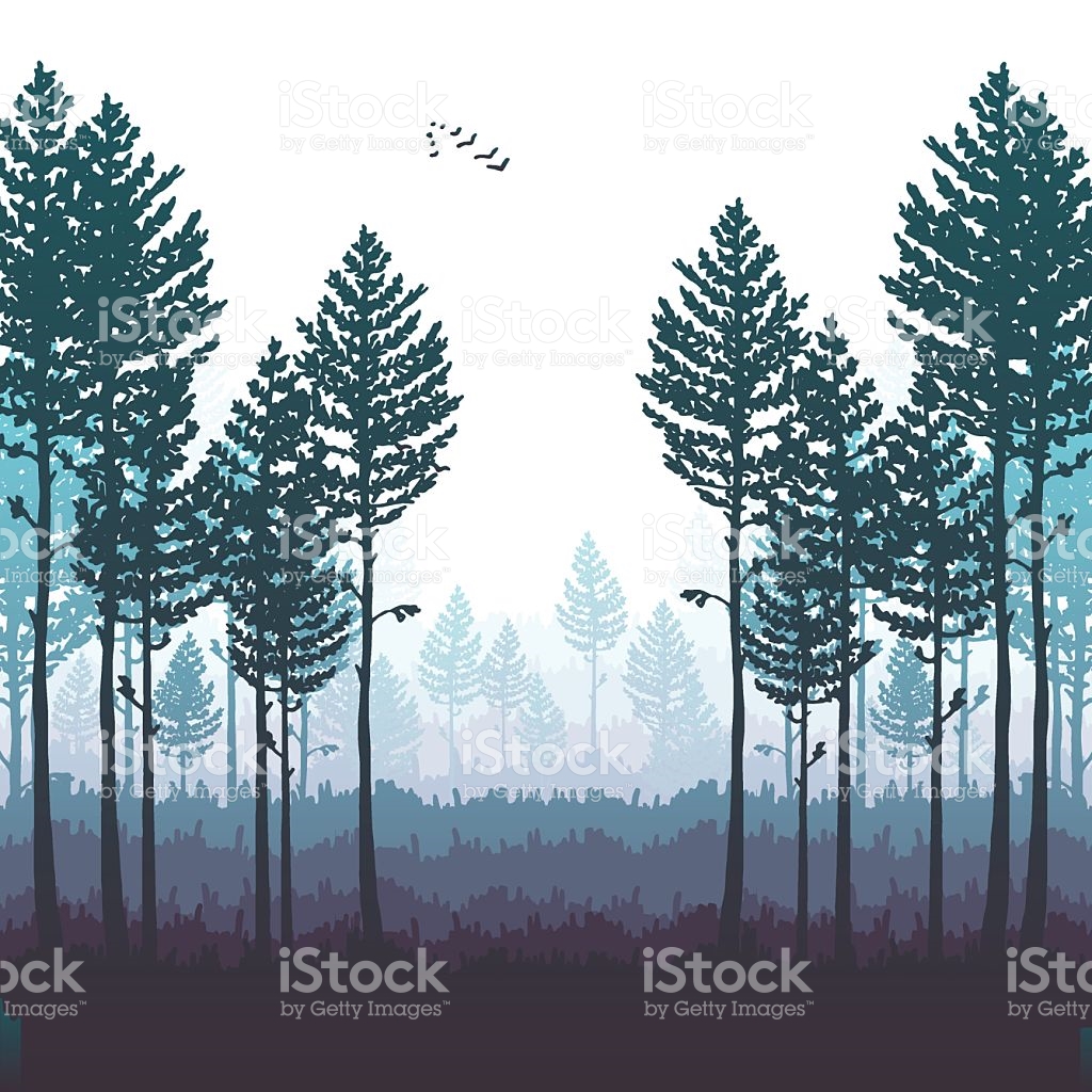 1024x1024 Drawn Forest Vector 3329945