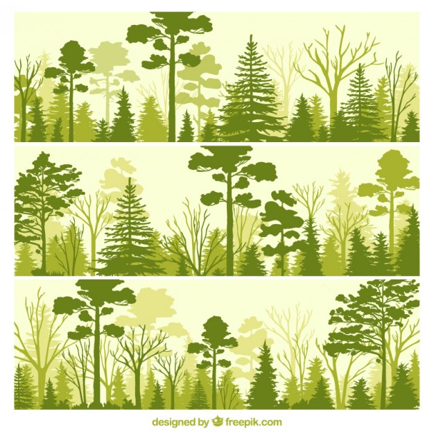 626x626 Forest Vectors, Photos And Psd Files Free Download
