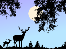 270x200 Free Forest Vector Graphics