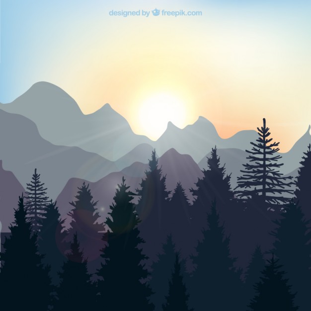 626x626 Sunrise Landscape In The Forest Vector Free Download