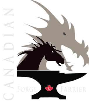 305x346 Collection Of Free Forged Clipart Farrier Tool. Download On Ubisafe