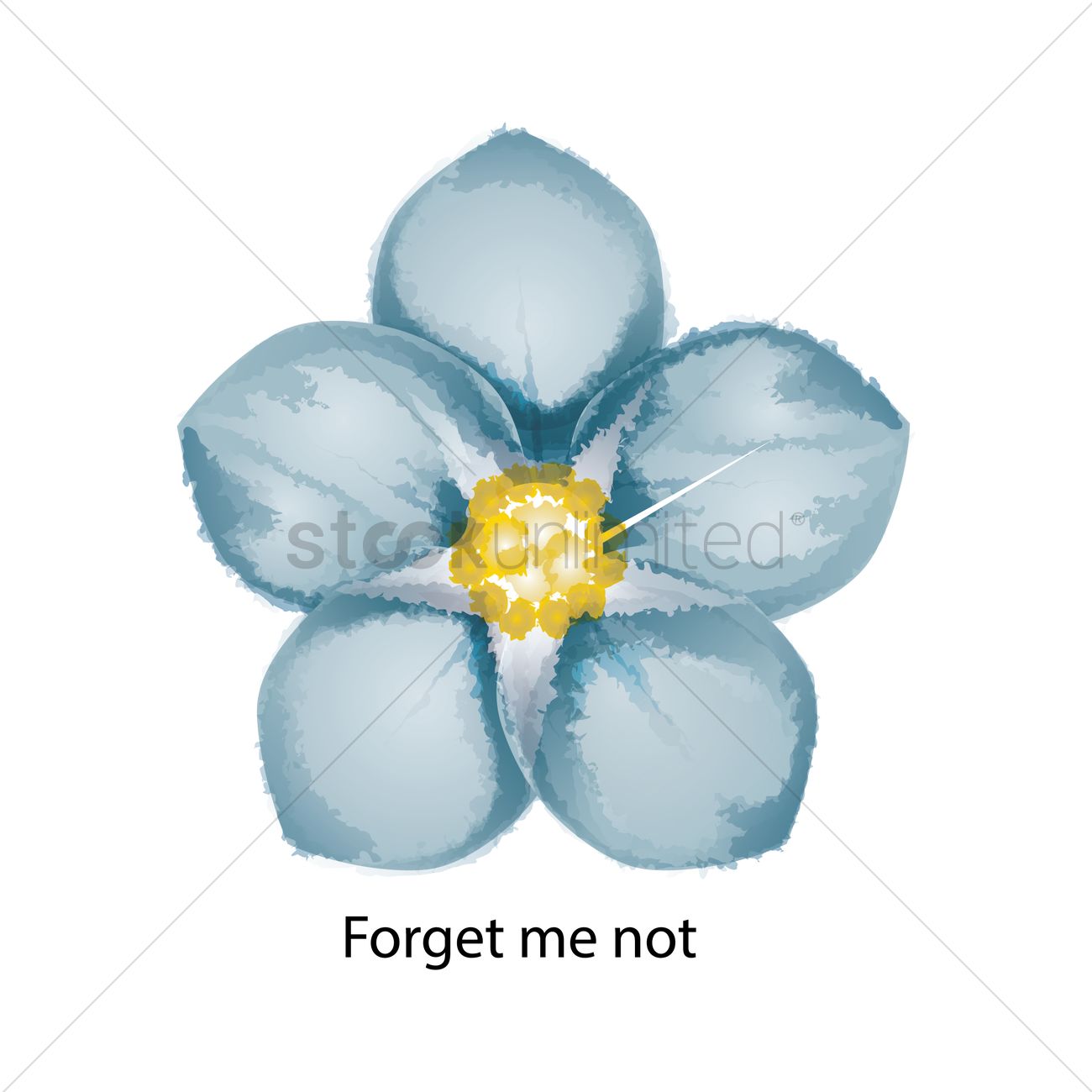 1300x1300 Forget Me Not Vector Image