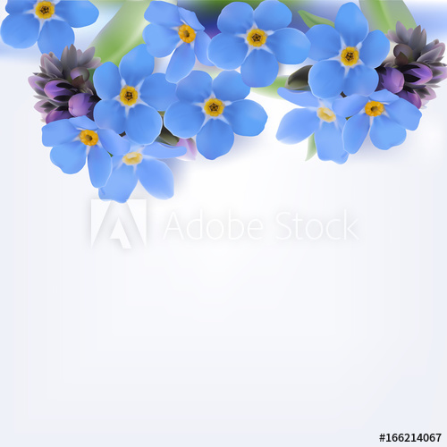 500x500 Forget Me Not. Vector Background. Hand Drawn Illustration Of Blue