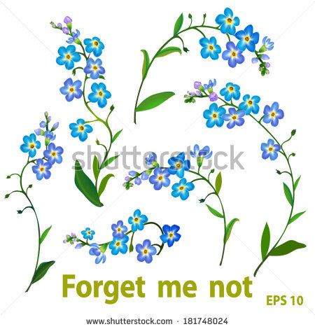 450x470 Spring Blue Flowers