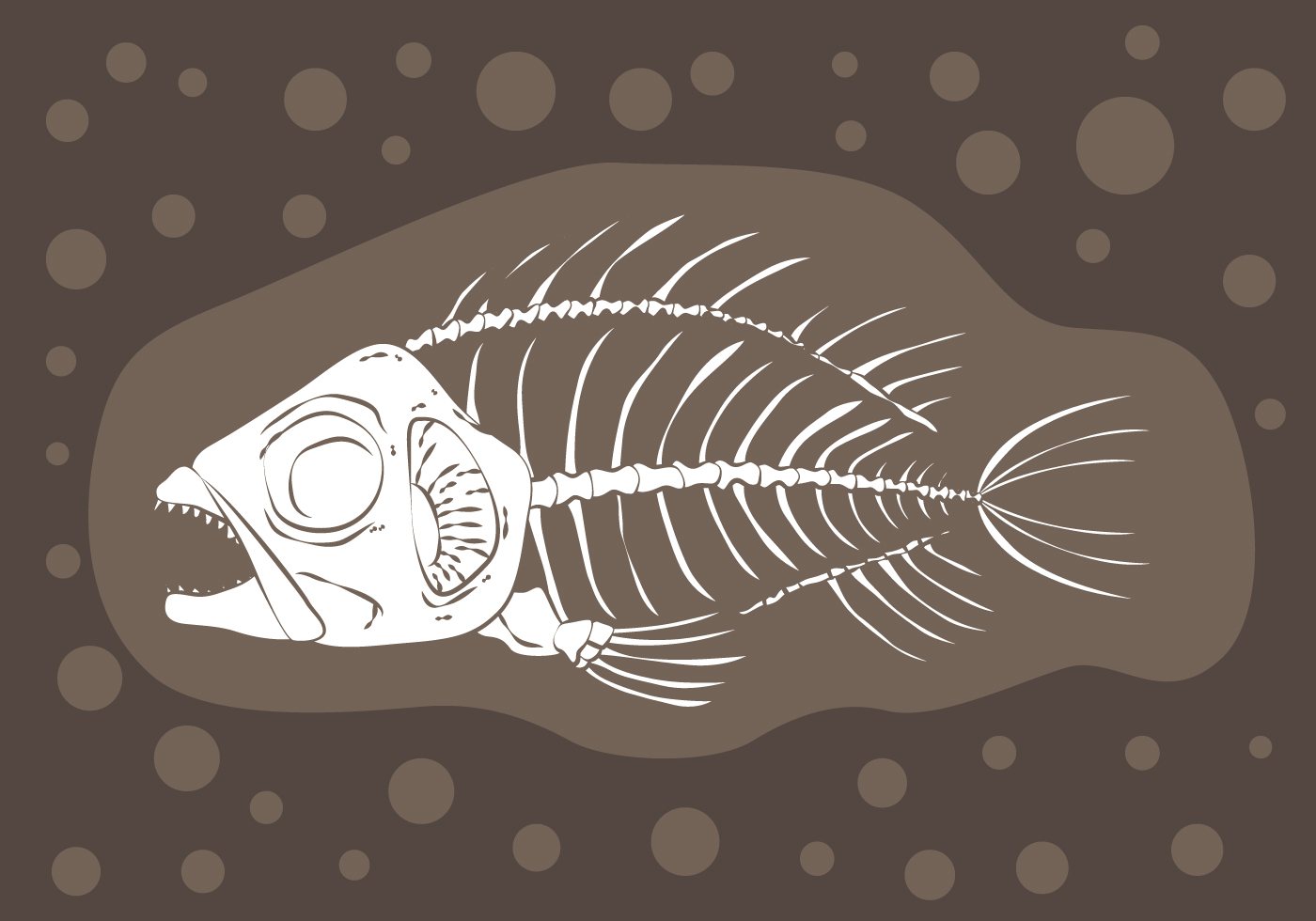 Кости рыбы собаке. Скелет рыбы. Рыба вектор. Рыбьи кости. Векторное изображение рыбы.