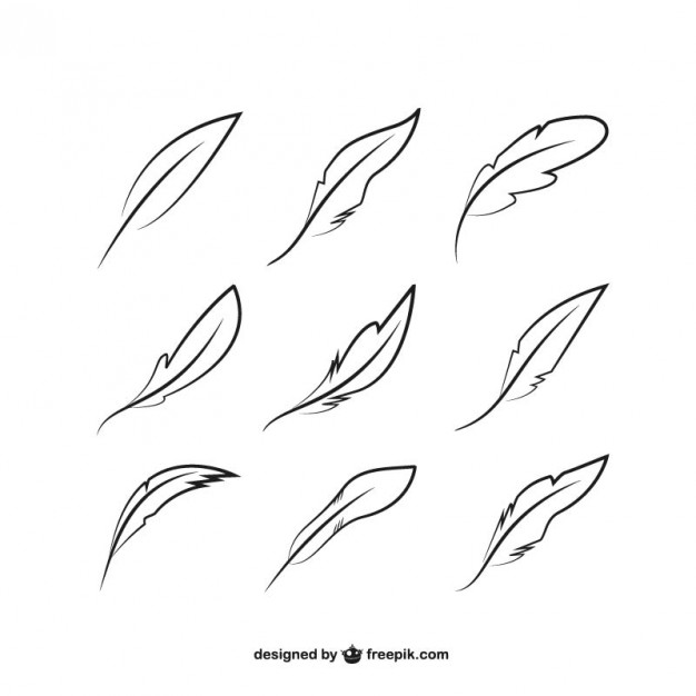 626x626 Feather Pen Vectors, Photos And Psd Files Free Download