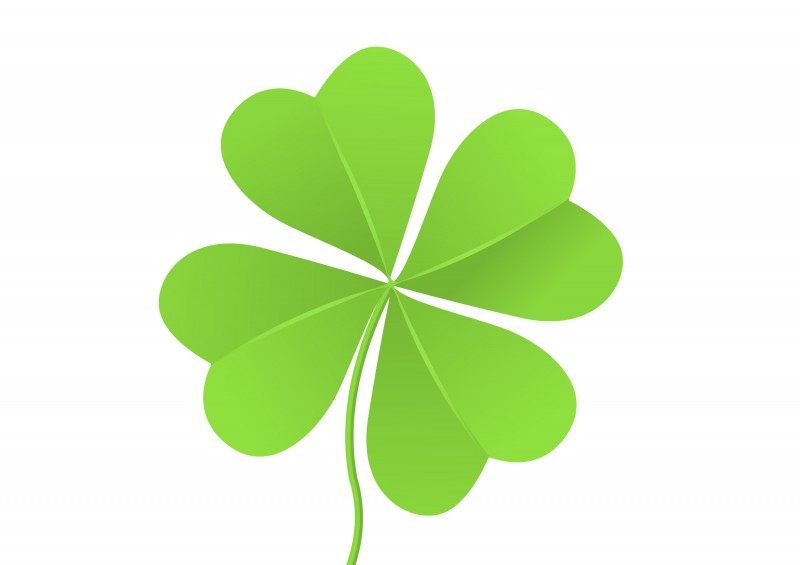 800x565 Four Leaf Clover