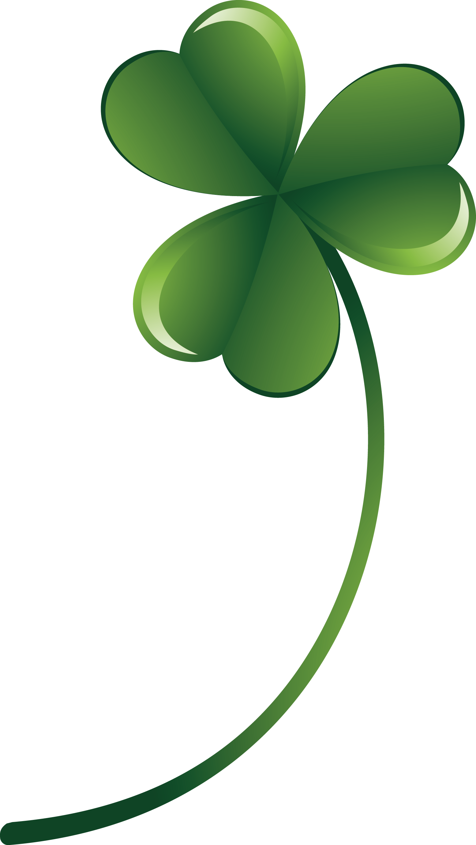 1555x2758 Four Leaf Clover Euclidean Vector
