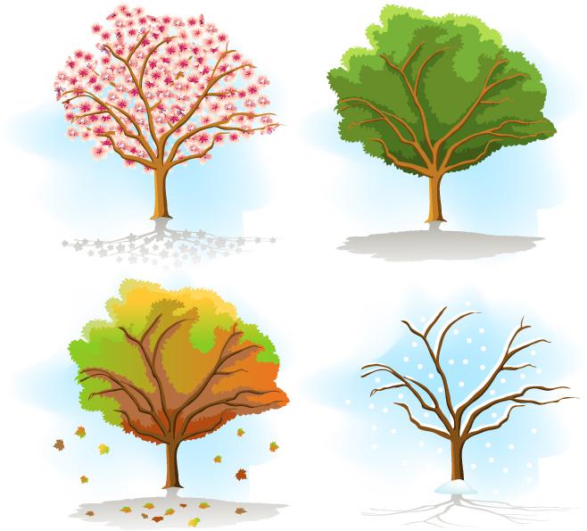 658x595 Transformation Of The Four Seasons Trees Painted Vector [Eps]