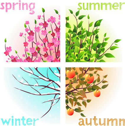 423x427 Tree With Four Seasons Vector Free Vector In Encapsulated
