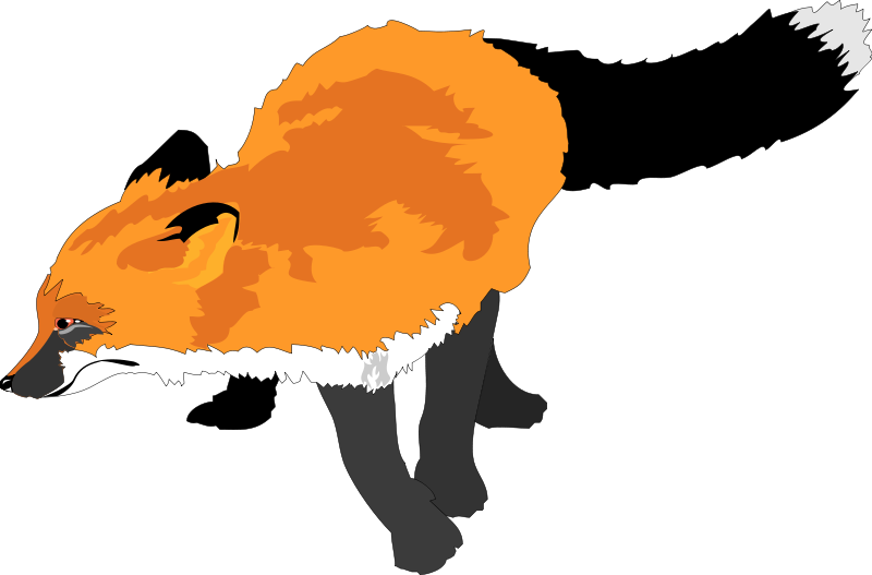 800x527 Fox 3 Free Vector 4vector