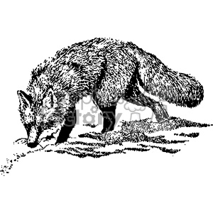 300x300 Royalty Free Black And White Vintage Fox Hunting Vector Vintage