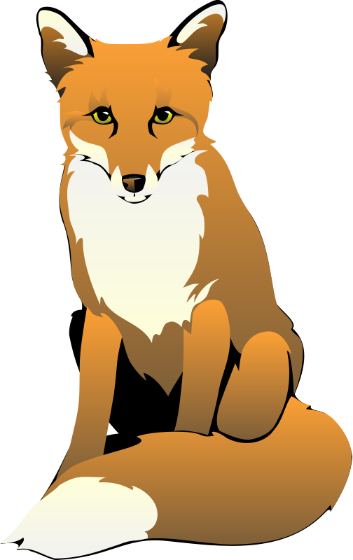 504x800 Fox Free Vector 4vector
