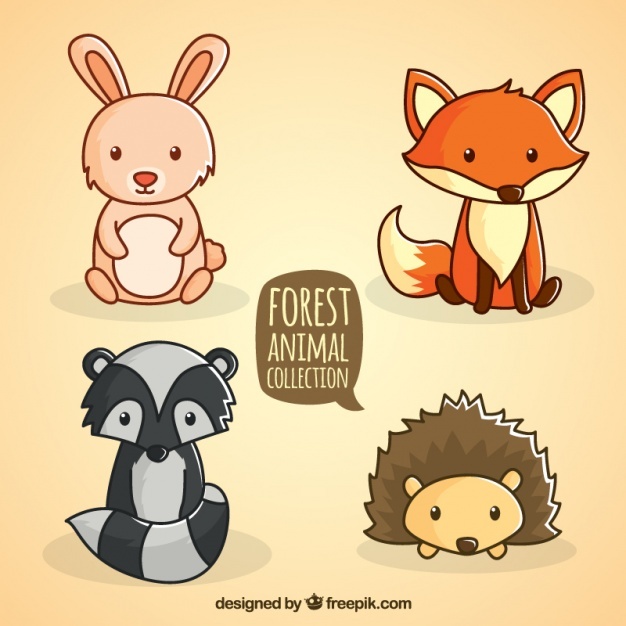 626x626 Fox Vectors, Photos And Psd Files Free Download